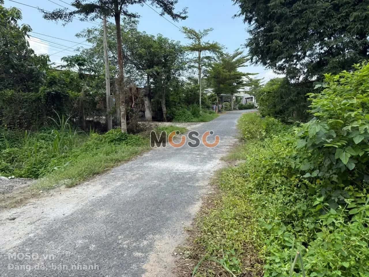Bán đất Khu phố Xóm Đồng Huyện Gò Dầu, Tây Ninh – giá 520 triệu - ảnh 3