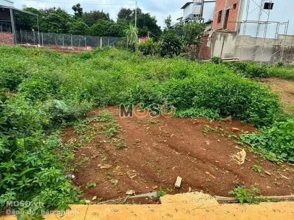 Bán đất hẻm đường QL 20 Huyện Bảo Lâm, Lâm Đồng – giá 1.5 tỷ - ảnh 1