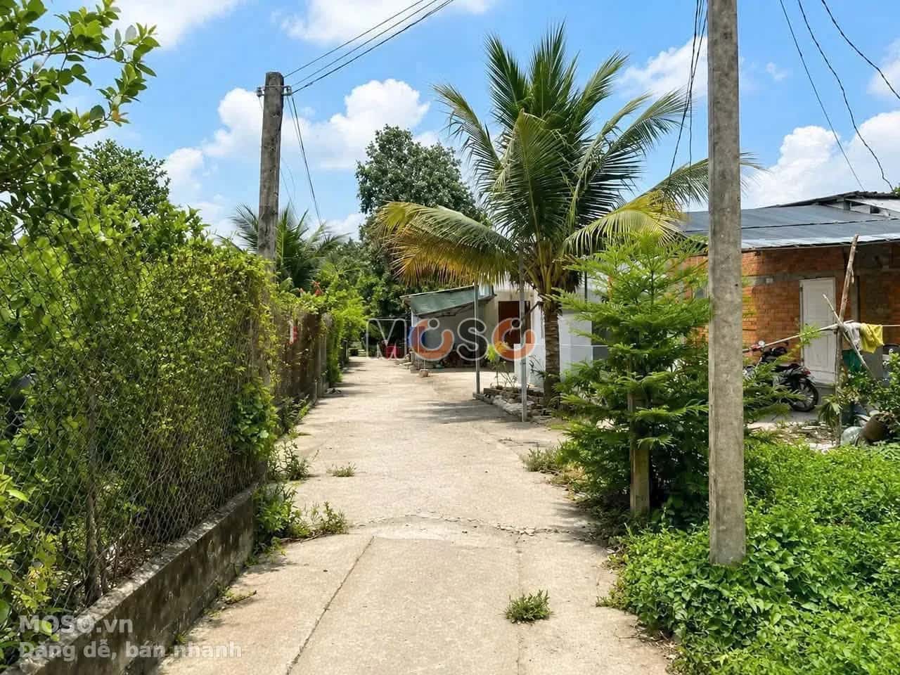 Bán đất  hẻm 191 Phạm Văn Ngô Thành phố Tân An, Long An – giá 500 triệu - ảnh 2