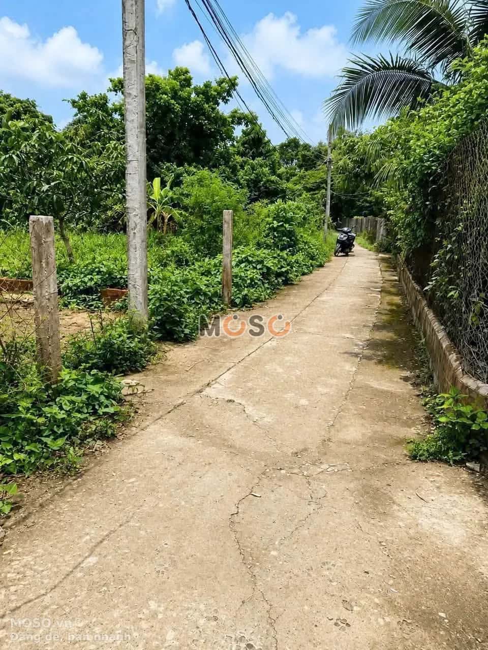 Bán đất  hẻm 191 Phạm Văn Ngô Thành phố Tân An, Long An – giá 500 triệu - ảnh 3