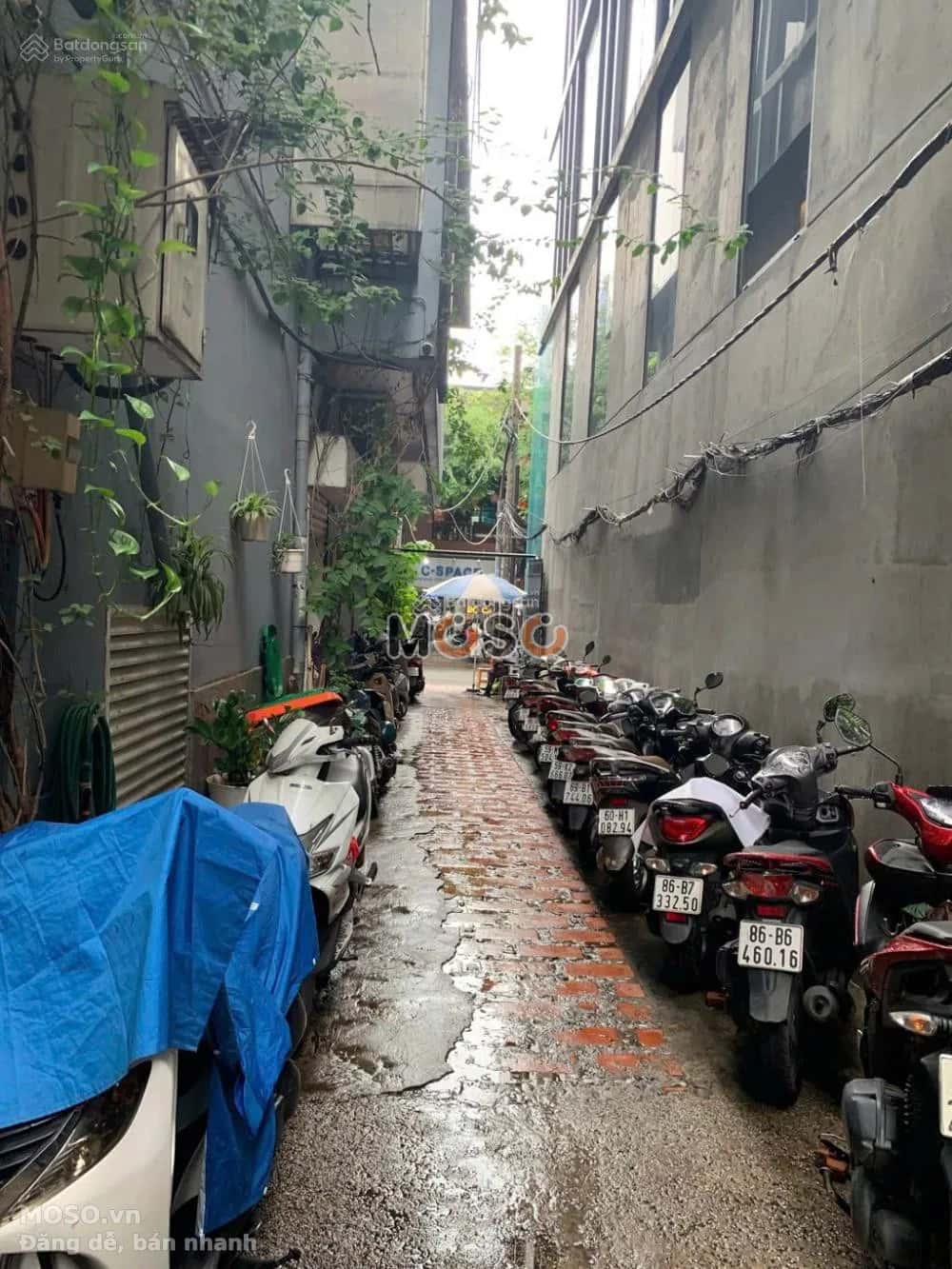 Bán nhà hẻm Võ Văn Tần Quận 3, TP.HCM – giá 19 tỷ - ảnh 4