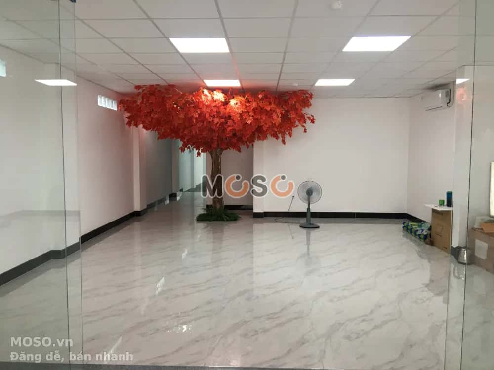 Bán nhà hẻm Cộng Hòa Quận Tân Bình, TP.HCM – giá 35 tỷ - ảnh 3