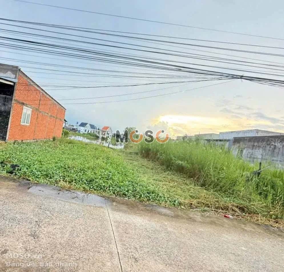 Bán đất Trần Văn Thôi Huyện Cần Giuộc, Long An – giá 550 triệu - ảnh 2