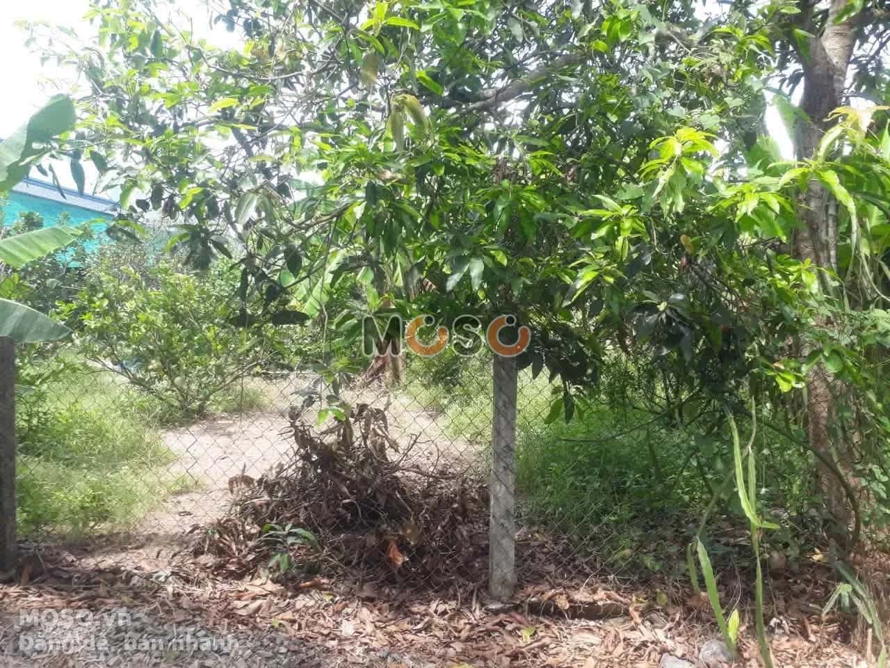Bán đất Hẻm 88 Nguyễn Văn Linh  Thị xã Hòa Thành, Tây Ninh – giá 550 triệu - ảnh 1