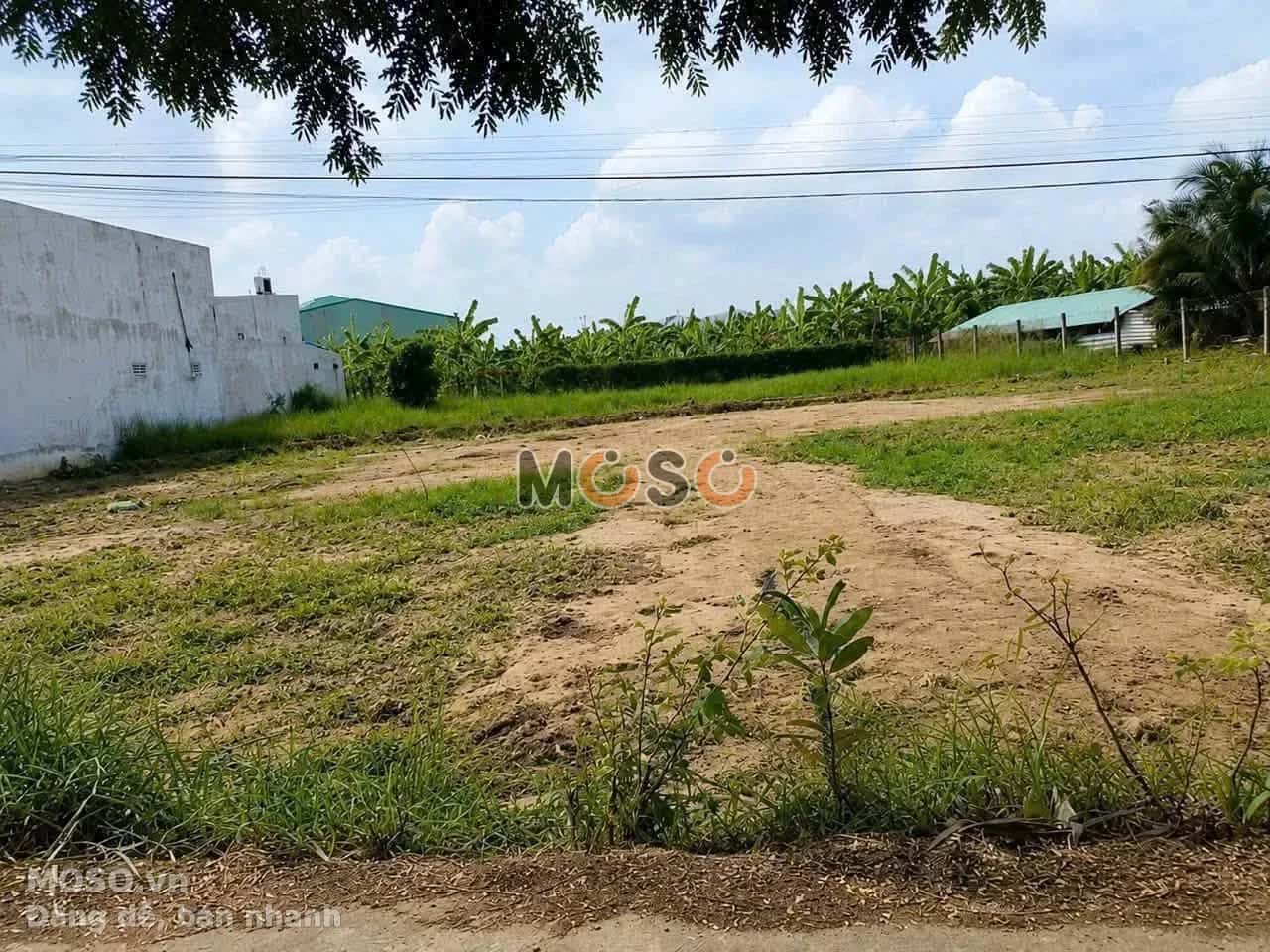 Bán đất hẻm tỉnh lộ 833 Thành phố Tân An, Long An – giá 580 triệu - ảnh 2