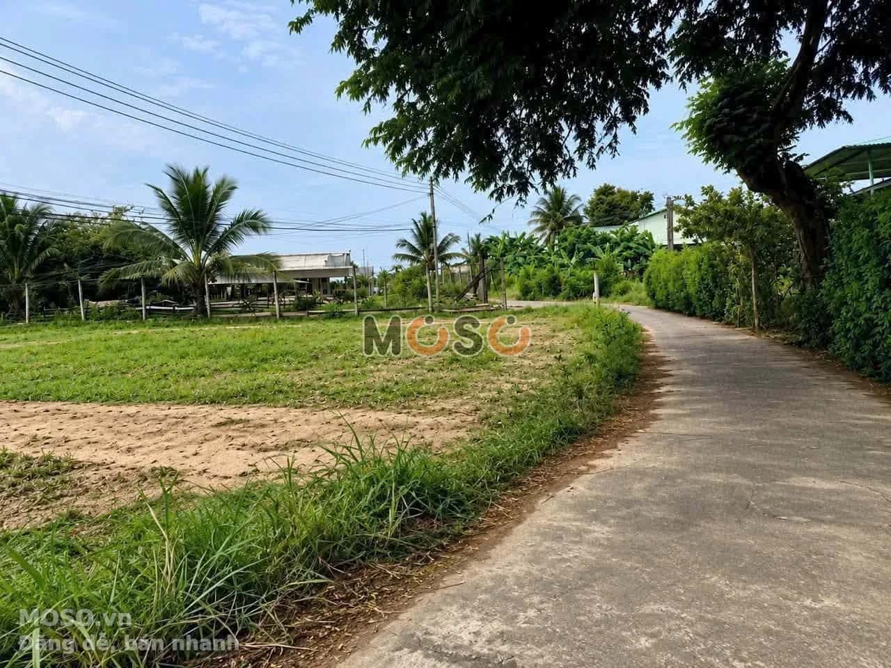 Bán đất hẻm tỉnh lộ 833 Thành phố Tân An, Long An – giá 580 triệu - ảnh 3
