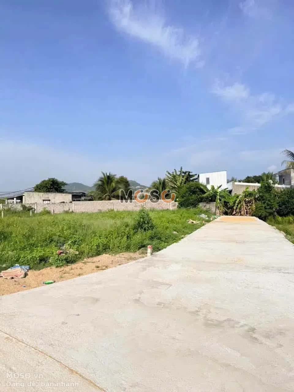 Bán đất Thôn Đại Điền Nam 1 Huyện Diên Khánh, Khánh Hòa – giá 570 triệu - ảnh 2