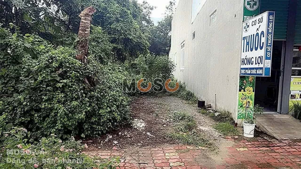 Bán đất Mạc Đỉnh Chi  Thành phố Thủ Dầu Một, Bình Dương – giá 2.5 tỷ - ảnh 1
