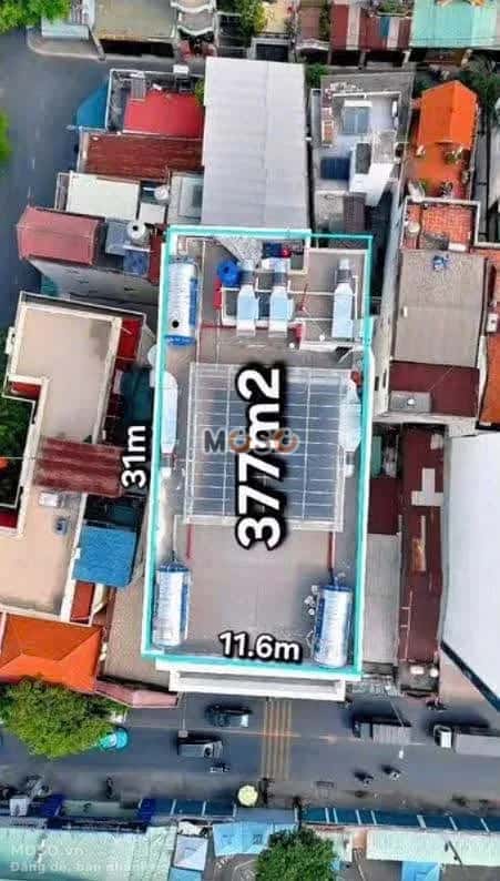 Bán nhà mặt tiền Phổ Quang Quận Tân Bình, TP.HCM – 6 phòng ngủ, giá 220 tỷ - ảnh 5