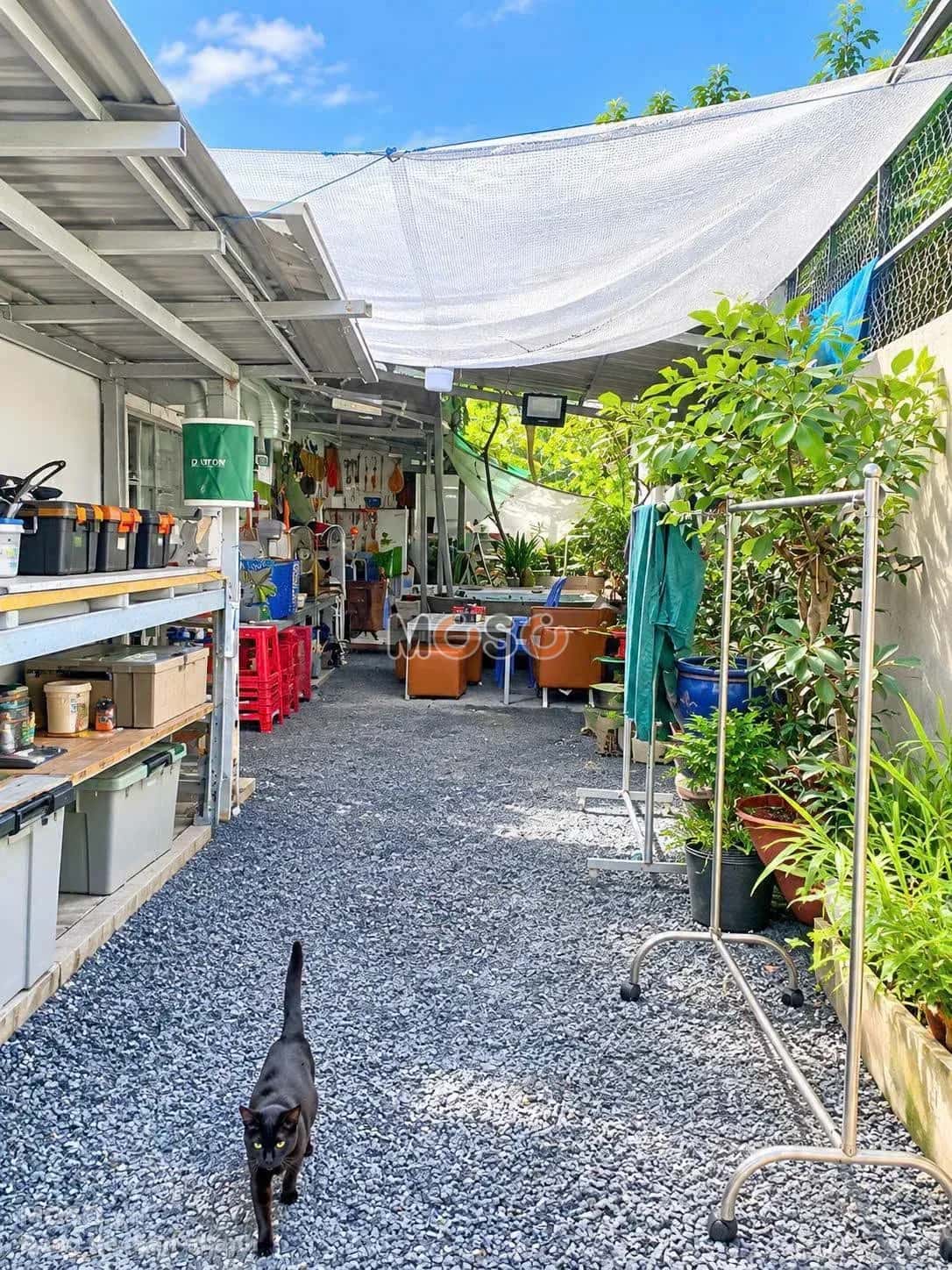 Bán đất hẻm 255 Thành phố Biên Hòa, Đồng Nai – giá 1.4 tỷ - ảnh 3