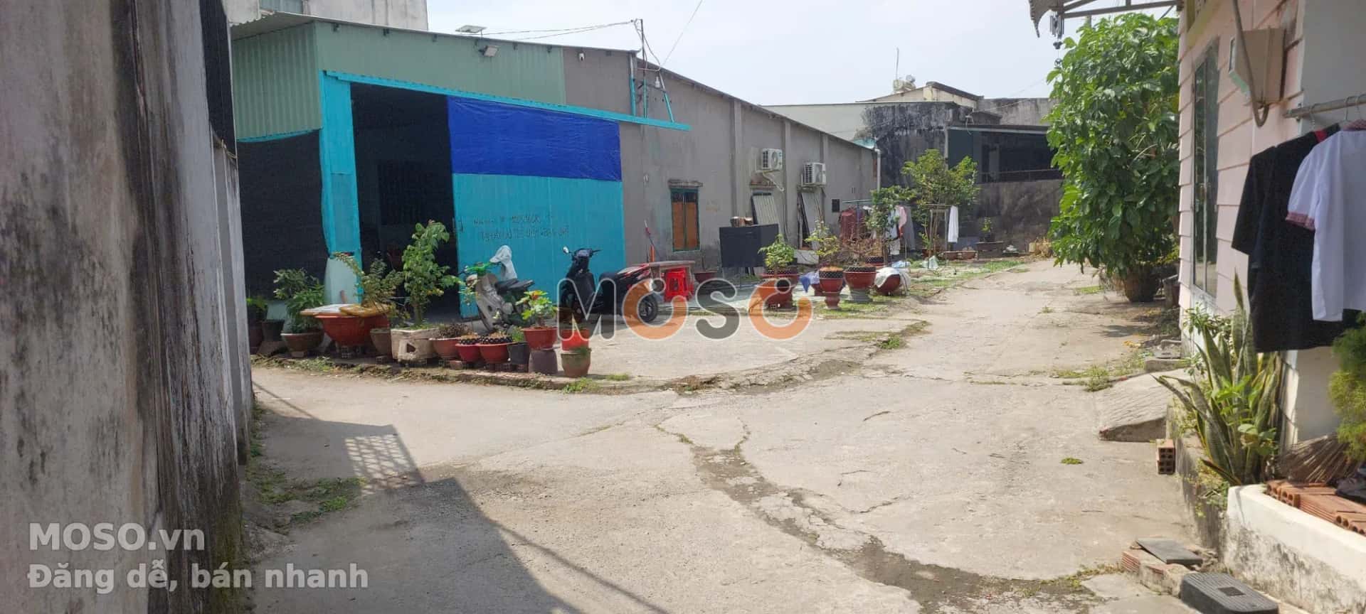 Bán đất đường số 8 Thành phố Thủ Đức, TP.HCM – giá 2.4 tỷ - ảnh 1
