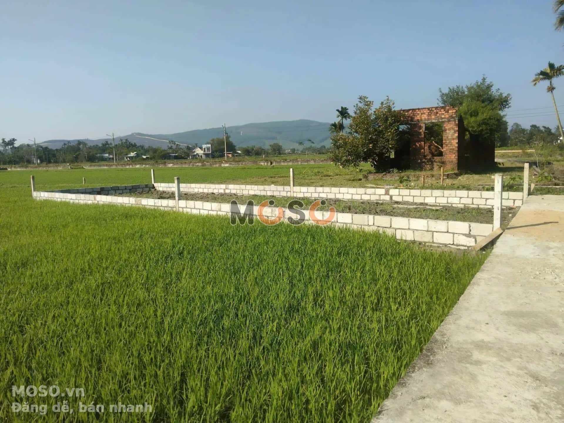 Bán đất Thôn Phú Sơn Huyện Hòa Vang, TP. Đà Nẵng – giá 1.1 tỷ - ảnh 2