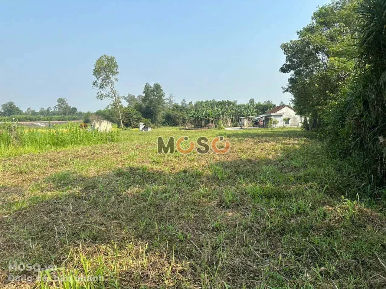 Bán đất ĐH 6, Thôn Mỹ Trà Huyện Thăng Bình, Quảng Nam – giá 690 triệu - ảnh 2