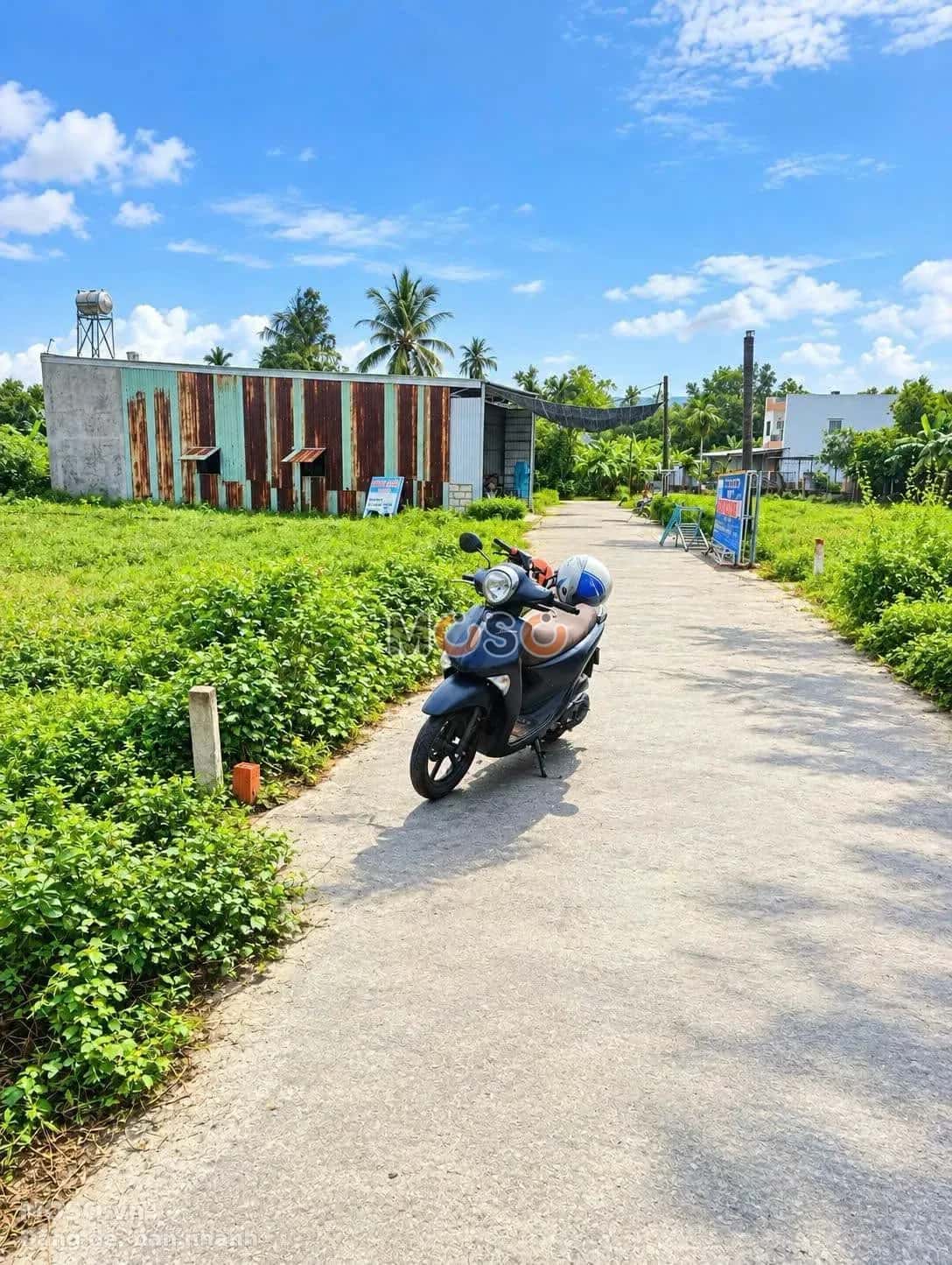 Bán đất Thôn Cẩm Toại Tây Huyện Hòa Vang, TP. Đà Nẵng – giá 880 triệu - ảnh 3