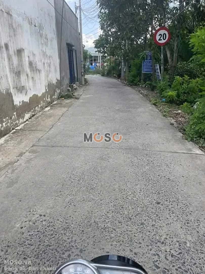 Bán đất Ấp 3 Huyện Cần Đước, Long An – giá 1.4 tỷ - ảnh 2