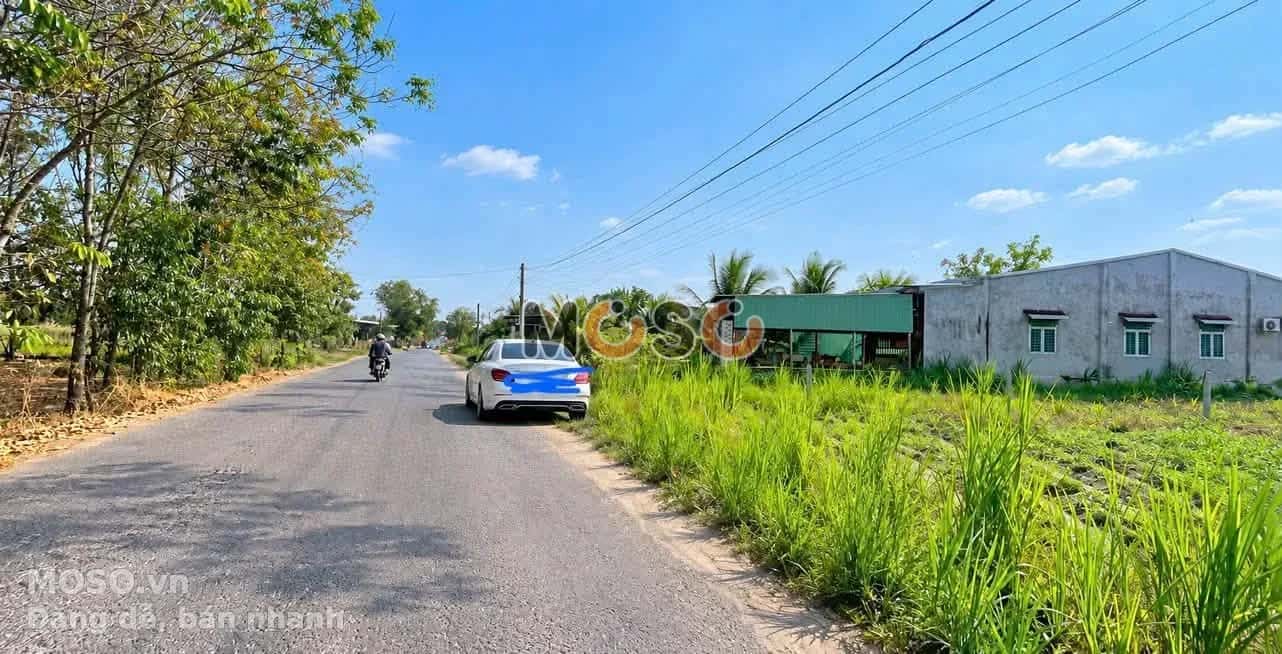 Bán đất Cầu Ô Huyện Gò Dầu, Tây Ninh – giá 1.5 tỷ - ảnh 2