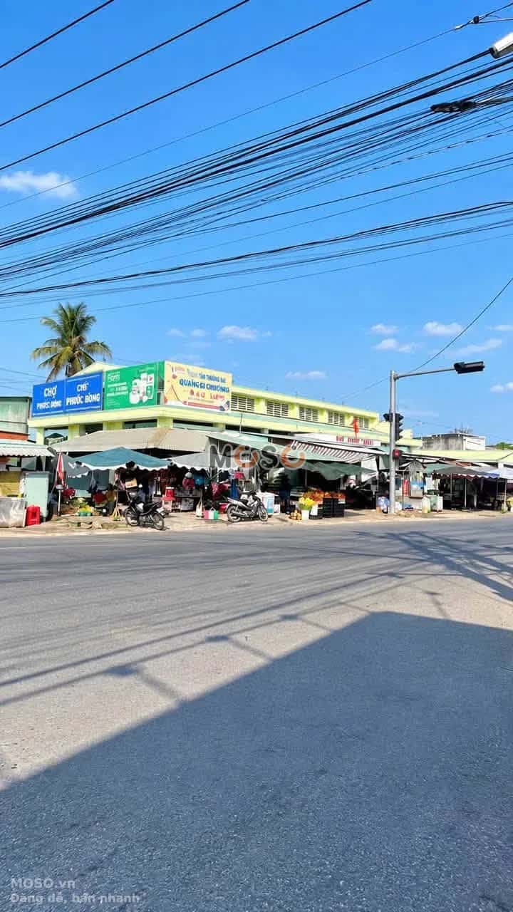 Bán đất Cầu Ô Huyện Gò Dầu, Tây Ninh – giá 1.5 tỷ - ảnh 4