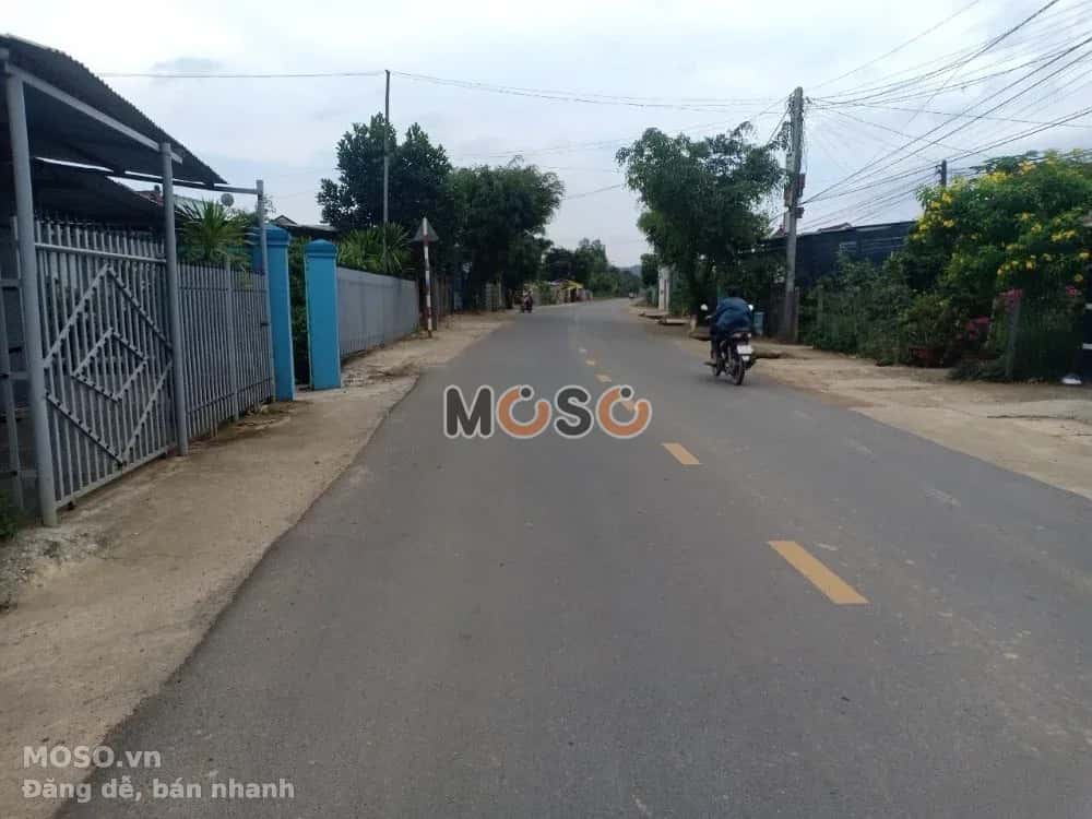 Bán đất đường Tỉnh Lộ 8B, Thôn A Xay  Huyện Khánh Vĩnh, Khánh Hòa – giá 320 triệu - ảnh 3