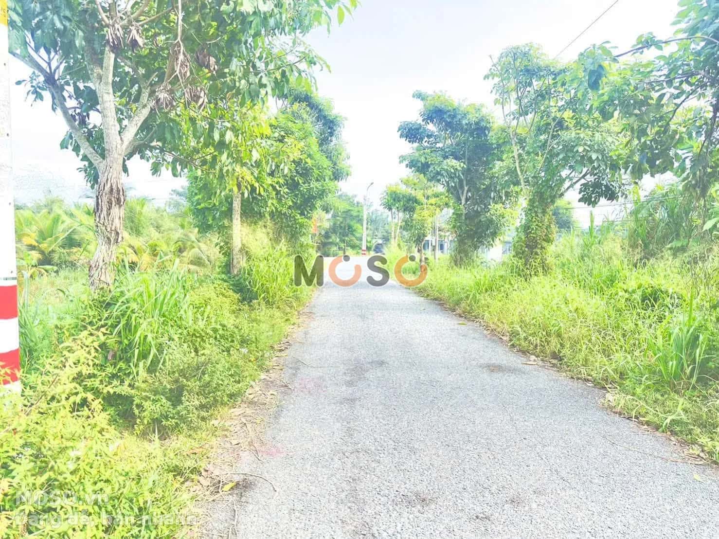Bán đất Lê Thị Trâm Thành phố Tân An, Long An – giá 950 triệu - ảnh 4