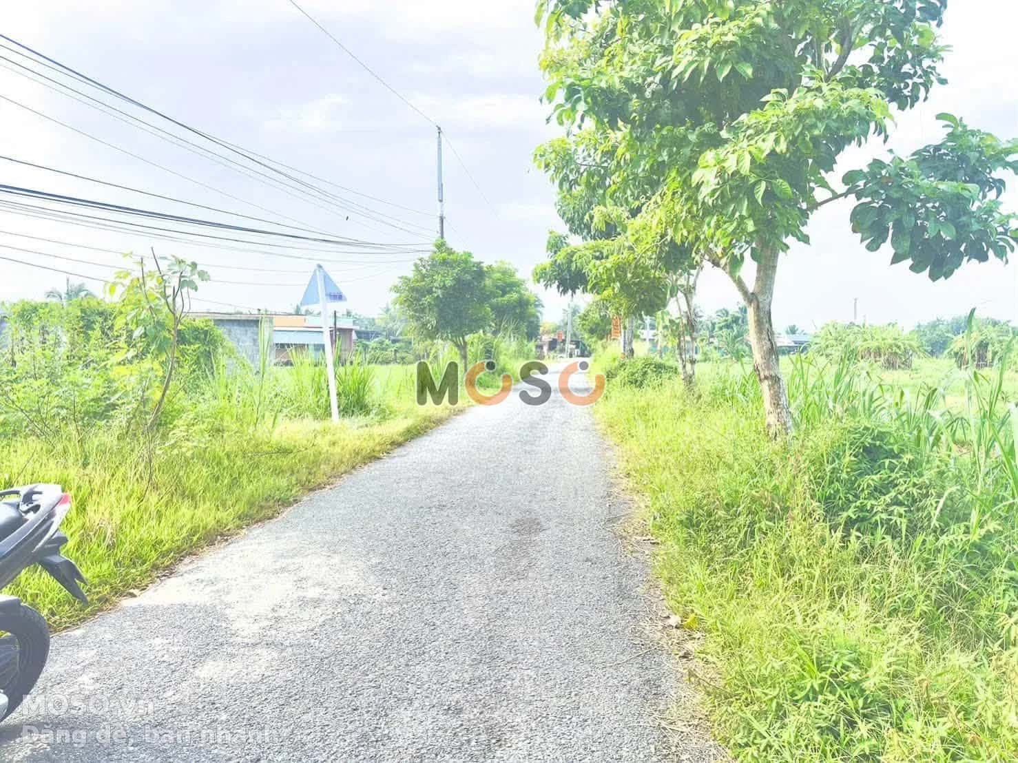 Bán đất Lê Thị Trâm Thành phố Tân An, Long An – giá 950 triệu - ảnh 3