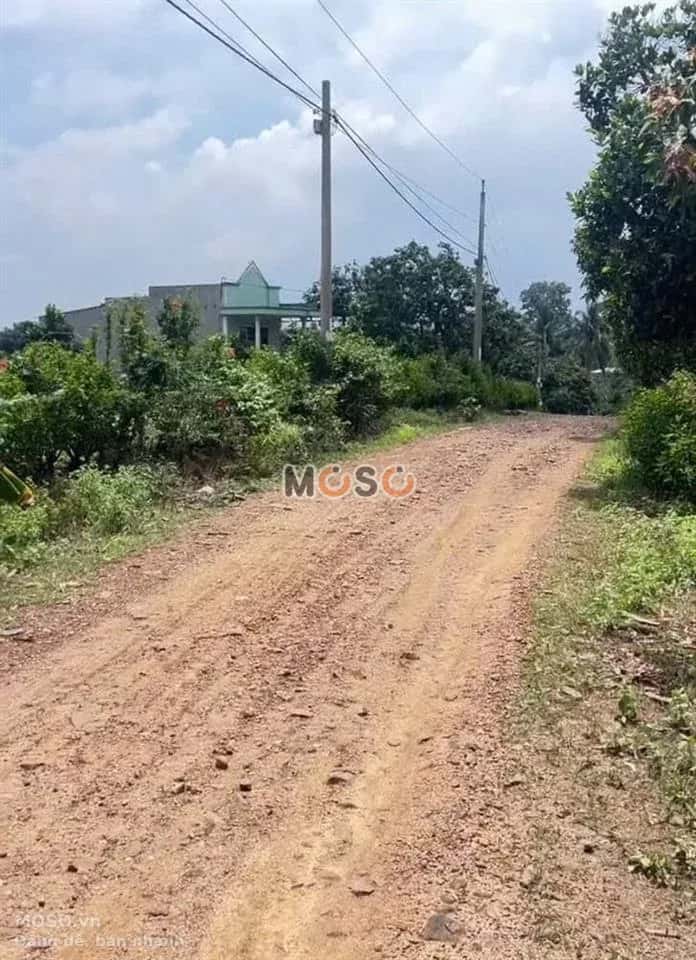 Bán đất ấp 5, nhánh đường QL20 Huyện Định Quán, Đồng Nai – giá 595 triệu - ảnh 2