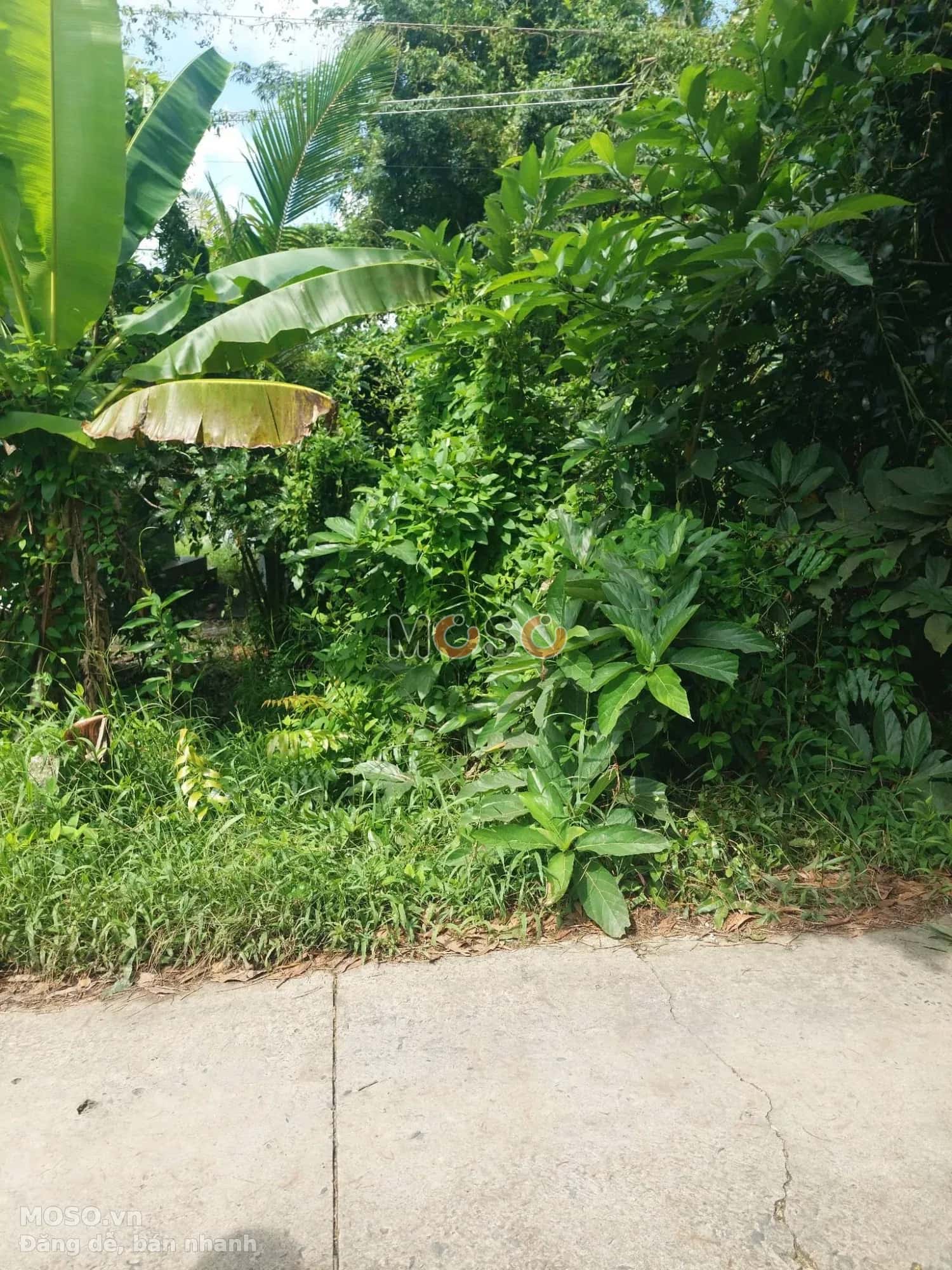 Bán đất Kênh Mười Thước Thành phố Vị Thanh, Hậu Giang – giá 222 triệu - ảnh 2