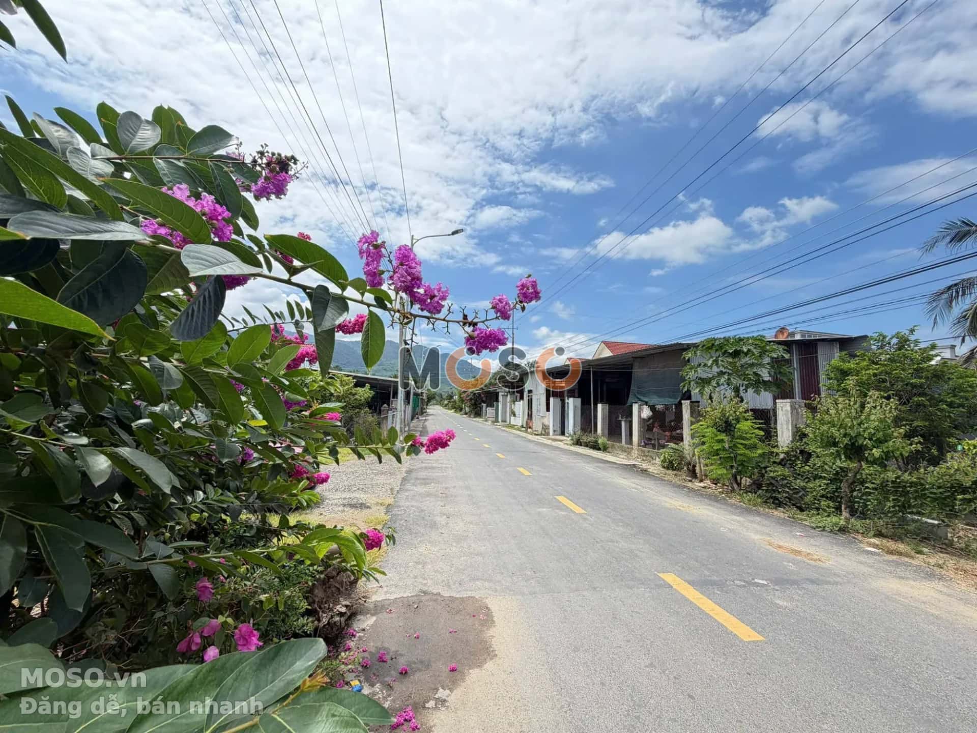 Bán đất Thôn Đá Mài Huyện Diên Khánh, Khánh Hòa – giá 590 triệu - ảnh 3