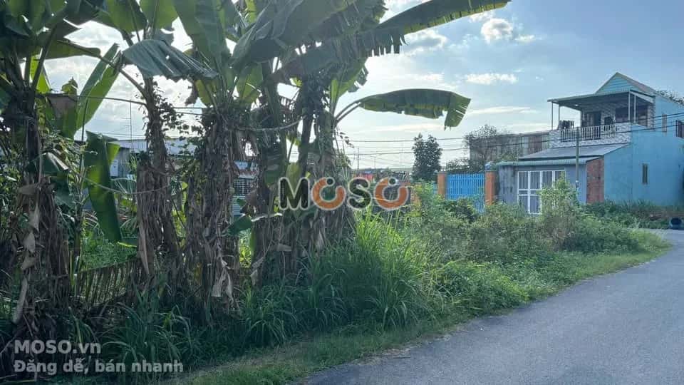 Bán đất Võ Thị Du Huyện Củ Chi, TP.HCM – giá 3 tỷ - ảnh 1