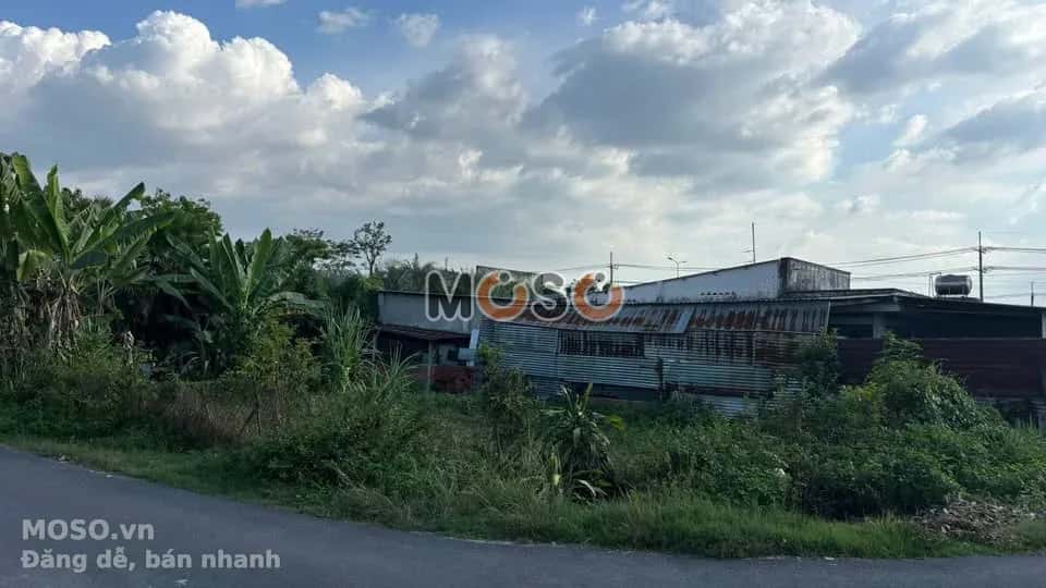 Bán đất Võ Thị Du Huyện Củ Chi, TP.HCM – giá 3 tỷ - ảnh 2