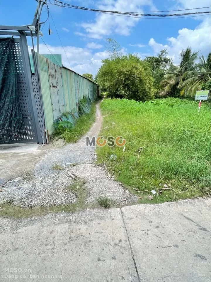 Bán đất Ấp An Mỹ  Thành phố Thuận An, Bình Dương – giá 6.2 tỷ - ảnh 2