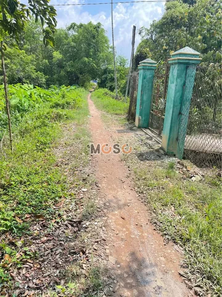 Bán đất Ấp An Mỹ  Thành phố Thuận An, Bình Dương – giá 6.2 tỷ - ảnh 4