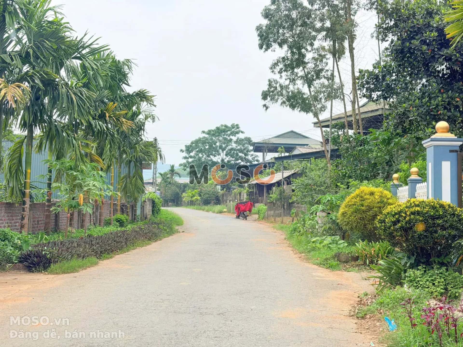 Bán đất khu 8 Yên Kỳ Huyện Hạ Hoà, Phú Thọ – giá 600 triệu - ảnh 4