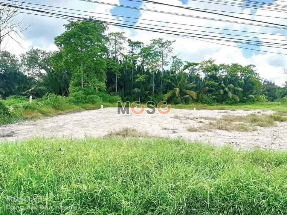 Bán đất hẻm 20 Đặng Văn Truyện  Thành phố Tân An, Long An – giá 850 triệu - ảnh 2