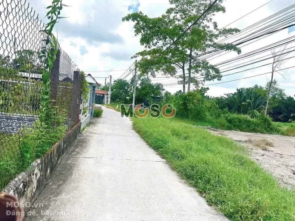 Bán đất hẻm 20 Đặng Văn Truyện  Thành phố Tân An, Long An – giá 850 triệu - ảnh 3