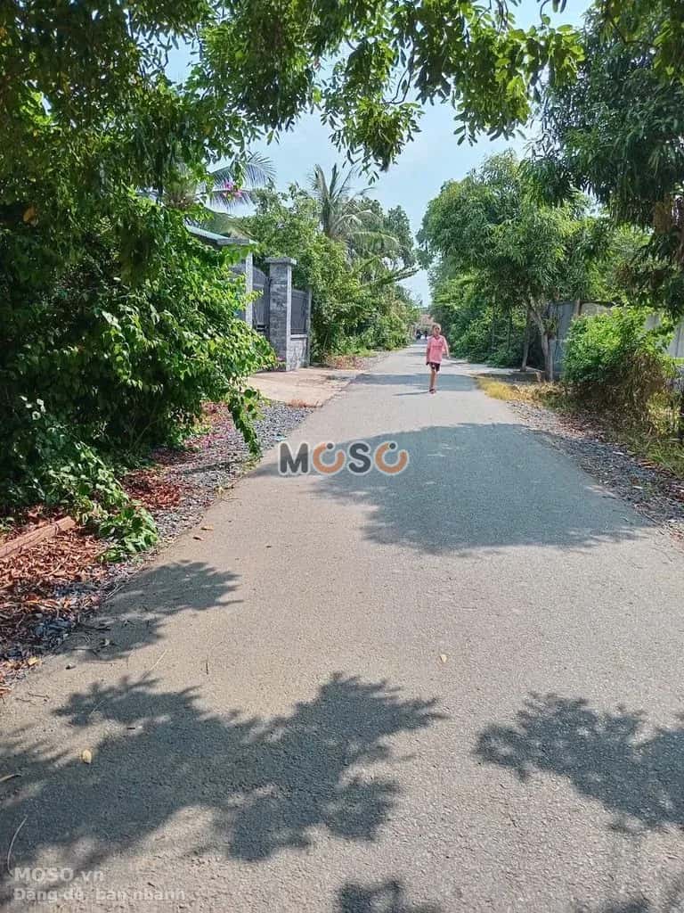 Bán đất đường Tỉnh Lộ 7 Huyện Củ Chi, TP.HCM – giá 2.5 tỷ - ảnh 3