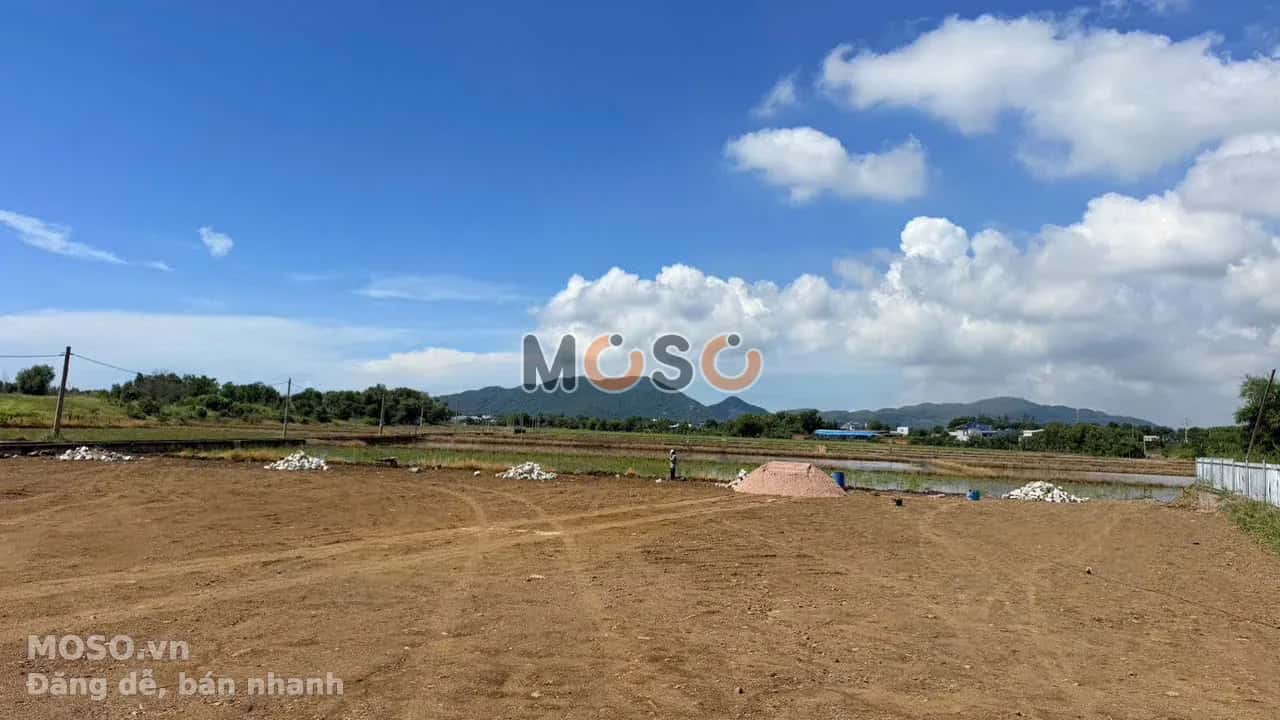 Bán đất Đường Ven Biển Huyện Long Đất, BRVT – giá 1.4 tỷ - ảnh 2