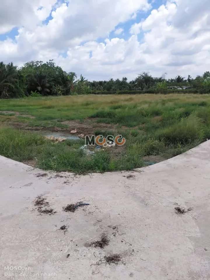 Bán đất Ấp Thanh Phú Long Huyện Châu Thành, Long An – giá 250 triệu - ảnh 2