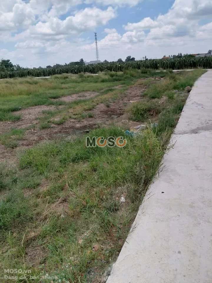 Bán đất Ấp Thanh Phú Long Huyện Châu Thành, Long An – giá 250 triệu - ảnh 1