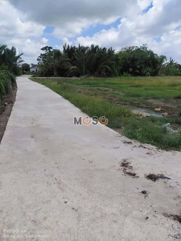 Bán đất Ấp Thanh Phú Long Huyện Châu Thành, Long An – giá 250 triệu - ảnh 3