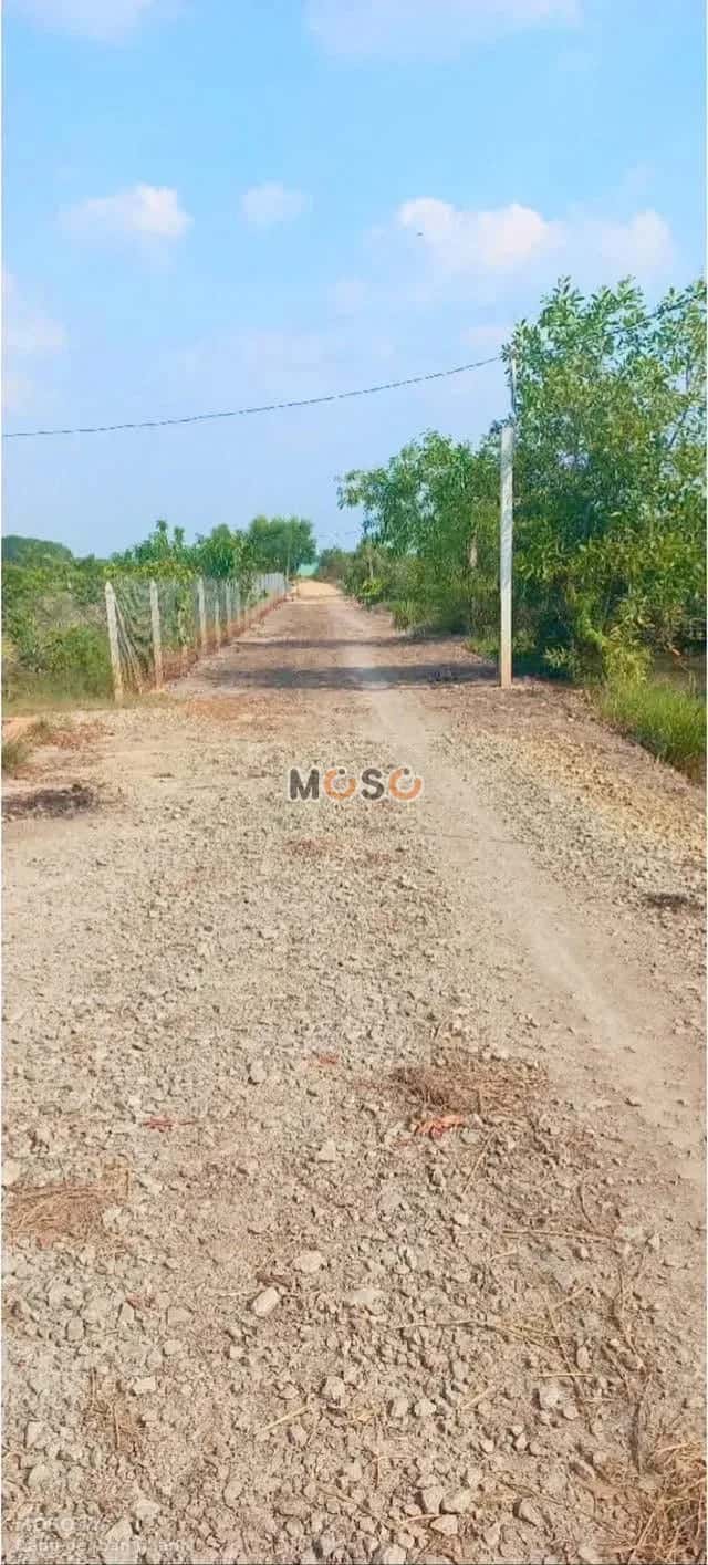 Bán đất nhánh đường DT748 Thành phố Bến Cát, Bình Dương – giá 5.5 tỷ - ảnh 5