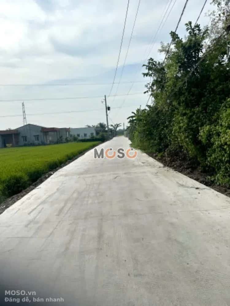 Bán đất Ấp Phú Xuân 2  Huyện Châu Thành, Long An – giá 630 triệu - ảnh 5
