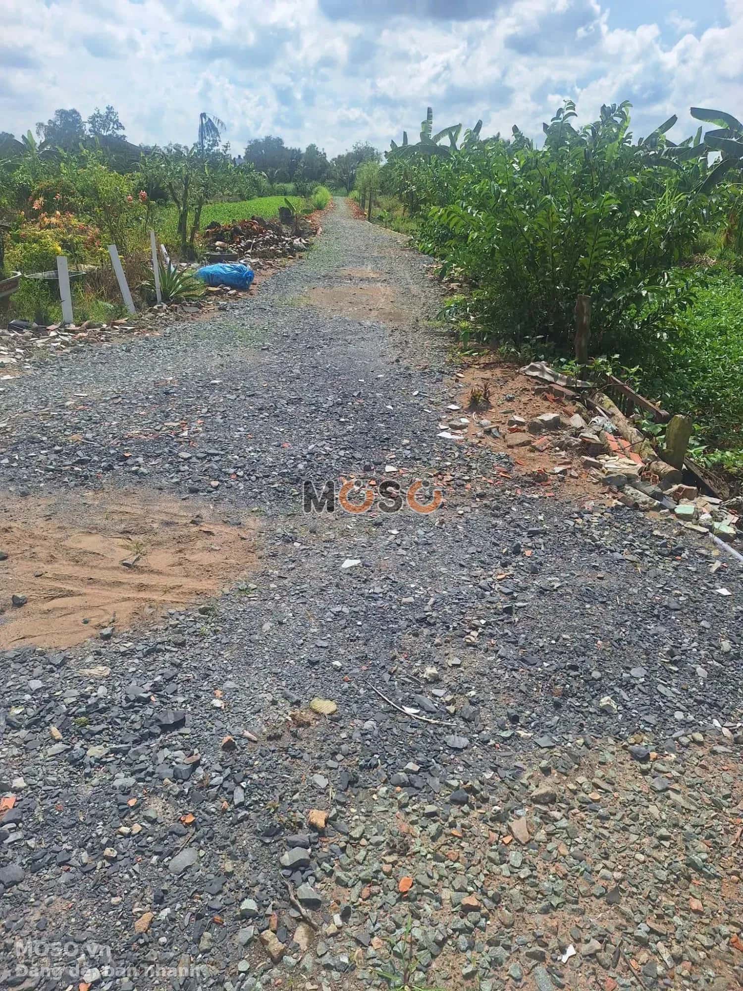 Bán đất Khu phố An Thuận Thành phố Tân An, Long An – giá 1.3 tỷ - ảnh 3