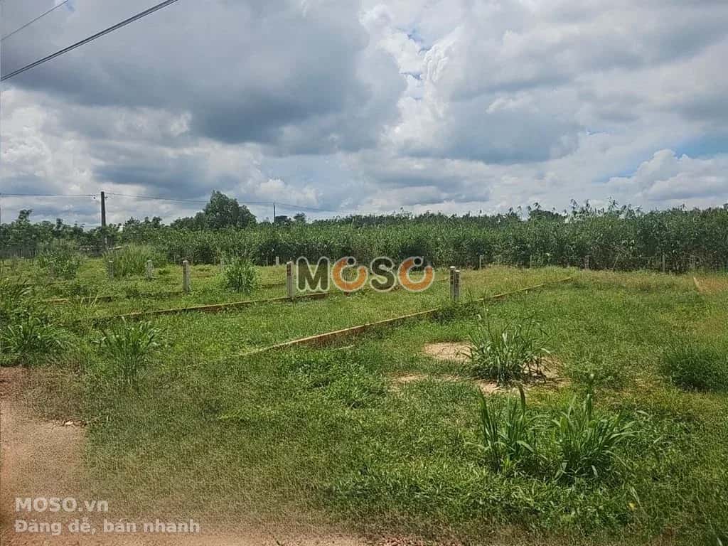 Bán đất đường số 13 Huyện Gò Dầu, Tây Ninh – giá 290 triệu - ảnh 2