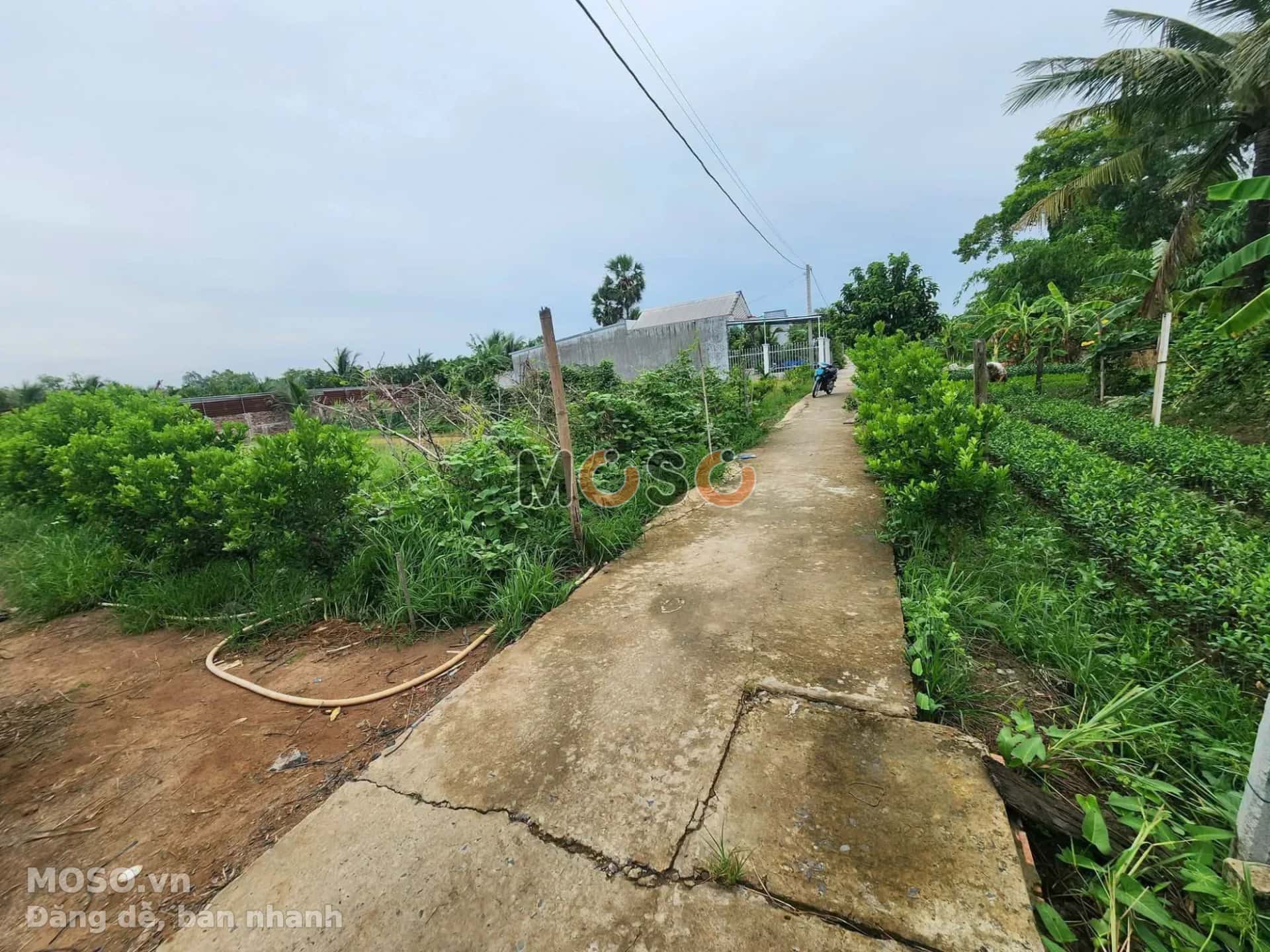 Bán đất hẻm Đường Huyện 53 Thị xã Bình Minh, Vĩnh Long – giá 750 triệu - ảnh 2