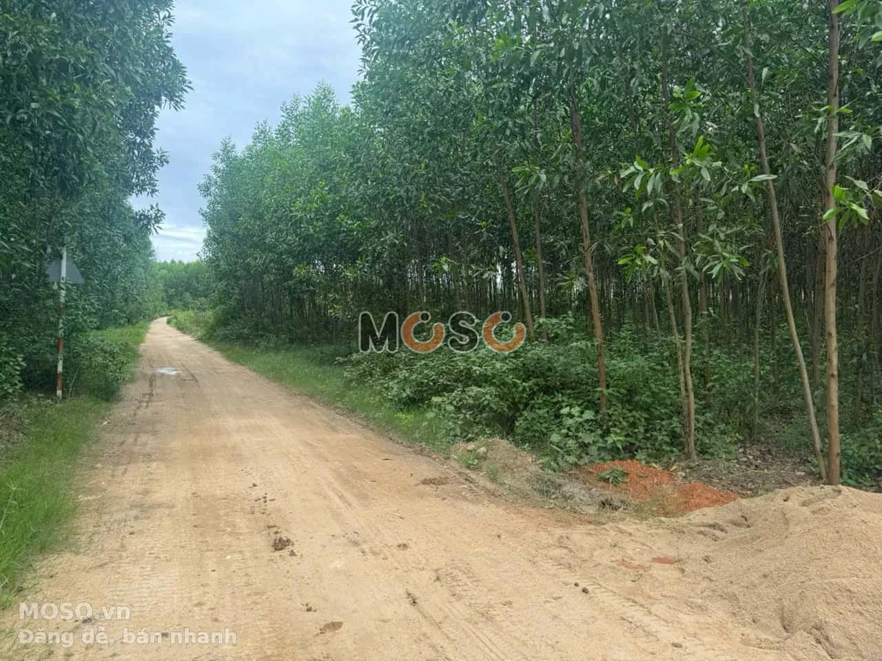 Bán đất Thôn Suối Thơm  Huyện Khánh Vĩnh, Khánh Hòa – giá 790 triệu - ảnh 3