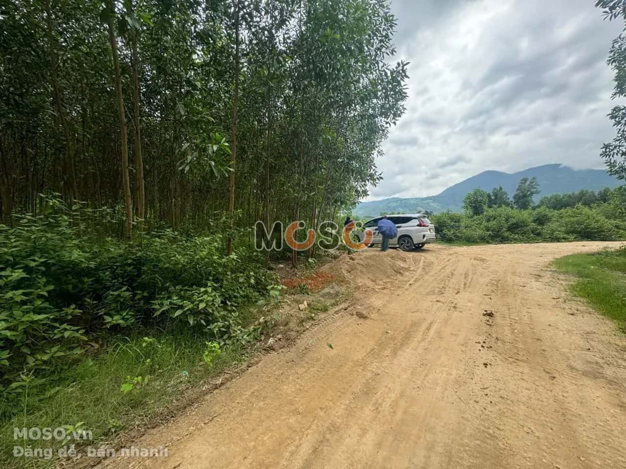 Bán đất Thôn Suối Thơm  Huyện Khánh Vĩnh, Khánh Hòa – giá 790 triệu - ảnh 2