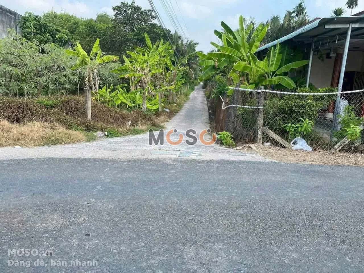 Bán đất hẻm Lê Văn Yên Thành phố Tân An, Long An – giá 750 triệu - ảnh 3