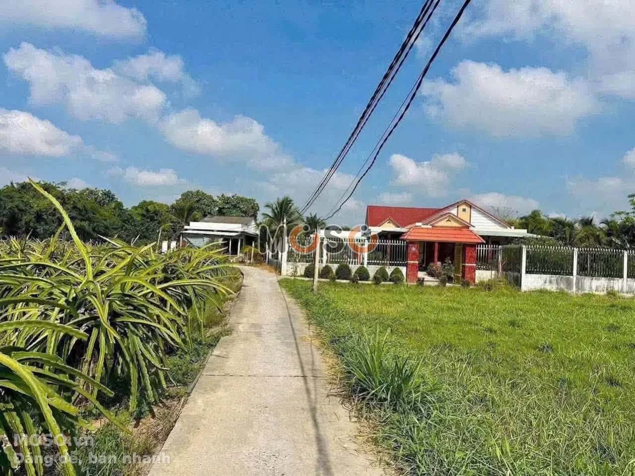 Bán đất hẻm Châu Thị Kim Thành phố Tân An, Long An – giá 390 triệu - ảnh 2