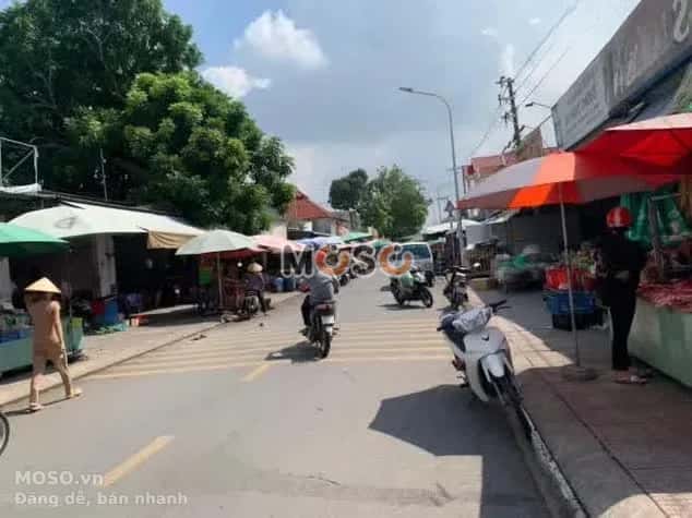 Bán đất đường D10 Thành phố Tân Uyên, Bình Dương – giá 1 tỷ - ảnh 3