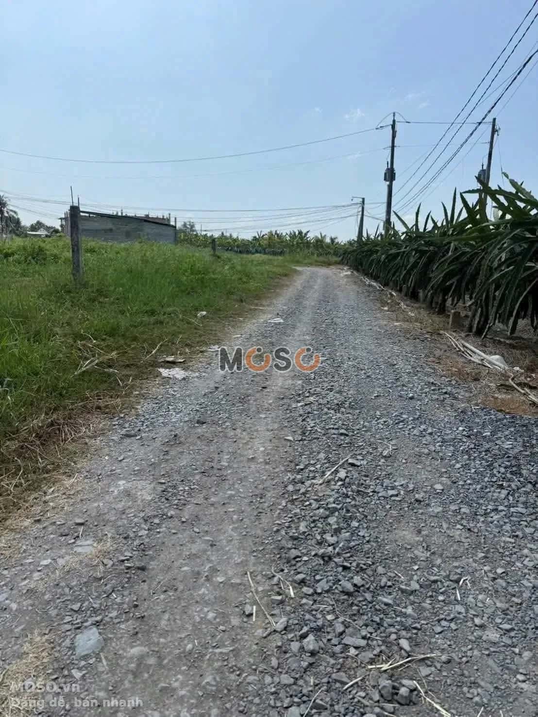 Bán đất ấp Bình Trị 1 Huyện Châu Thành, Long An – giá 469 triệu - ảnh 2